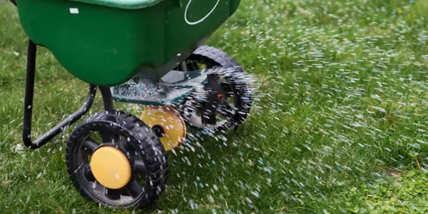 lawn care