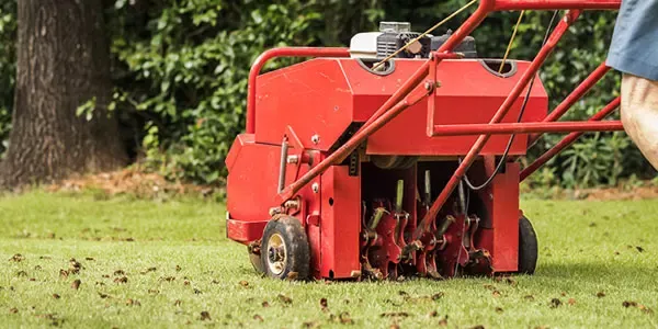 aerating lawn